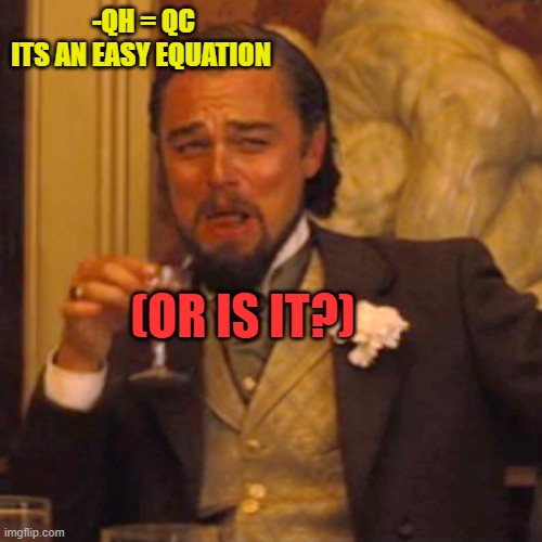 Laughing Leo | -QH = QC
ITS AN EASY EQUATION; (OR IS IT?) | image tagged in memes,laughing leo | made w/ Imgflip meme maker
