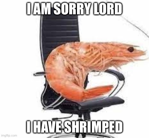 chair shrimp | I AM SORRY LORD I HAVE SHRIMPED | image tagged in chair shrimp | made w/ Imgflip meme maker