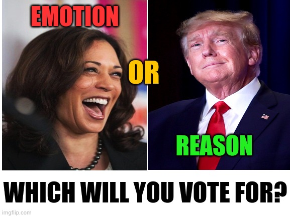 Which Will You Vote For? | EMOTION; OR; REASON; WHICH WILL YOU VOTE FOR? | image tagged in memes,politics,vote,emotions,reason,you can pick only one choose wisely | made w/ Imgflip meme maker