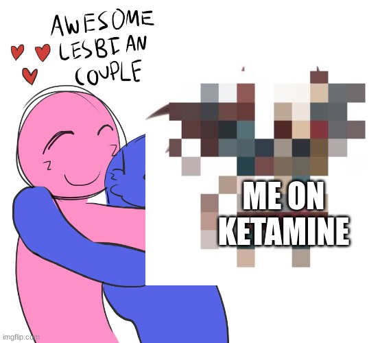 Awesome Lesbian Couple | ME ON KETAMINE | image tagged in awesome lesbian couple | made w/ Imgflip meme maker