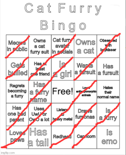 i have actually made this, if anyone wants to do the bingo, search memes: Cat Furry Bingo | image tagged in cat furry bingo,meow | made w/ Imgflip meme maker