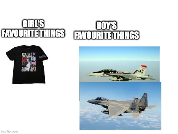 Boys vs Girls memes | BOY'S FAVOURITE THINGS; GIRL'S FAVOURITE THINGS | image tagged in boys vs girls | made w/ Imgflip meme maker