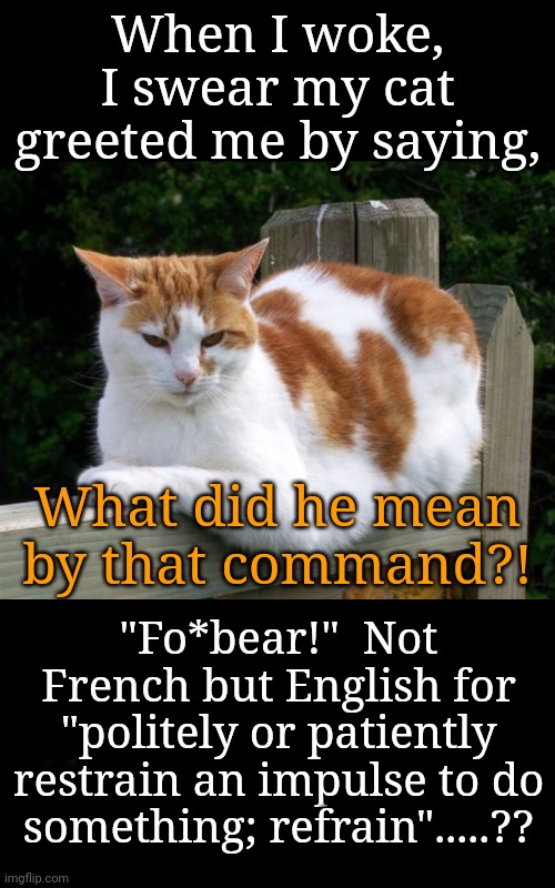 Bossy Cat | When I woke, I swear my cat greeted me by saying, What did he mean by that command?! "Fo*bear!"  Not French but English for "politely or patiently restrain an impulse to do something; refrain".....?? | image tagged in cheshire cat,cat,bossy cat | made w/ Imgflip meme maker