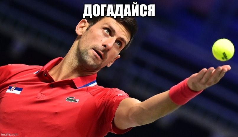 Novak Djokovic | ДОГАДАЙСЯ | image tagged in novak djokovic | made w/ Imgflip meme maker