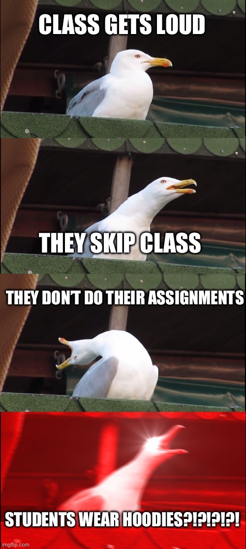 Inhaling Seagull | CLASS GETS LOUD; THEY SKIP CLASS; THEY DON’T DO THEIR ASSIGNMENTS; STUDENTS WEAR HOODIES?!?!?!?! | image tagged in memes,inhaling seagull,funny,teachers,why | made w/ Imgflip meme maker