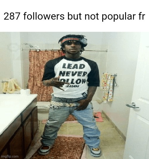 my shi dead as hell | 287 followers but not popular fr | made w/ Imgflip meme maker