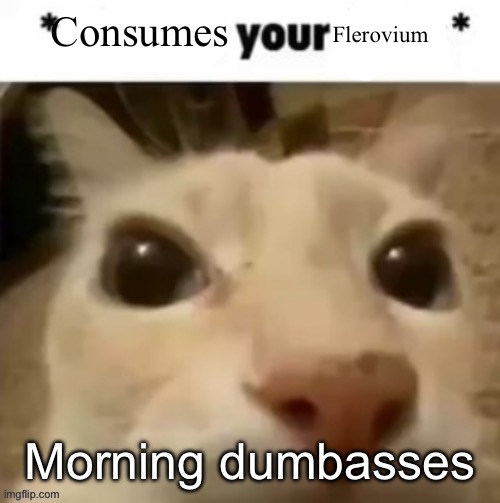 Yakko consumes your flerovium | Morning dumbasses | image tagged in yakko consumes your flerovium | made w/ Imgflip meme maker