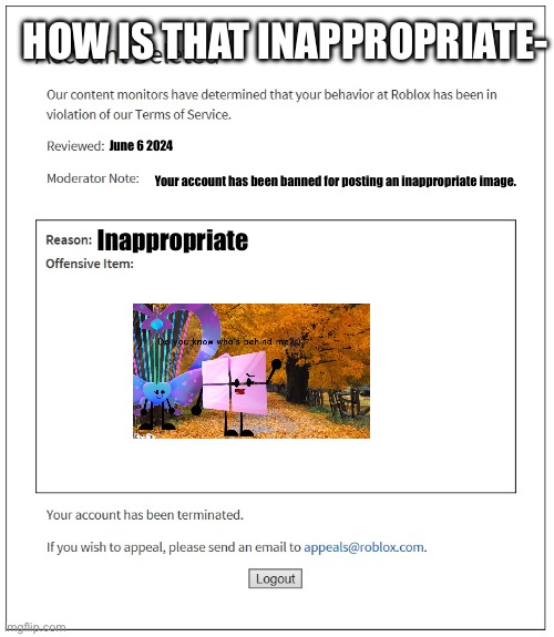 How is that inappropriate bruh | HOW IS THAT INAPPROPRIATE-; June 6 2024; Your account has been banned for posting an inappropriate image. Inappropriate | image tagged in banned from roblox | made w/ Imgflip meme maker