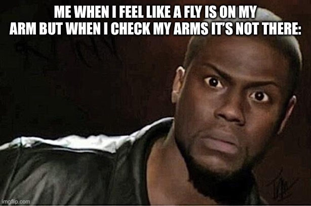 Kevin Hart Meme | ME WHEN I FEEL LIKE A FLY IS ON MY ARM BUT WHEN I CHECK MY ARMS IT’S NOT THERE: | image tagged in memes,kevin hart | made w/ Imgflip meme maker