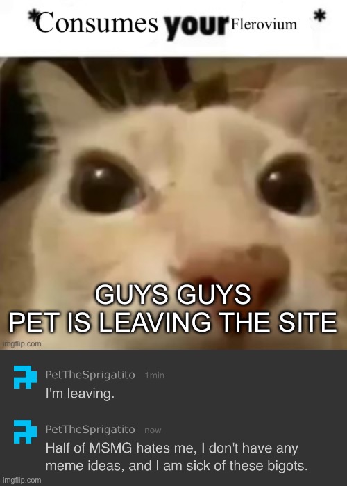 GUYS GUYS

PET IS LEAVING THE SITE | image tagged in yakko consumes your flerovium | made w/ Imgflip meme maker