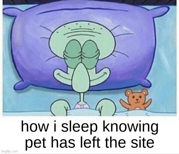 Squidward how i sleep | how i sleep knowing pet has left the site | image tagged in squidward how i sleep | made w/ Imgflip meme maker