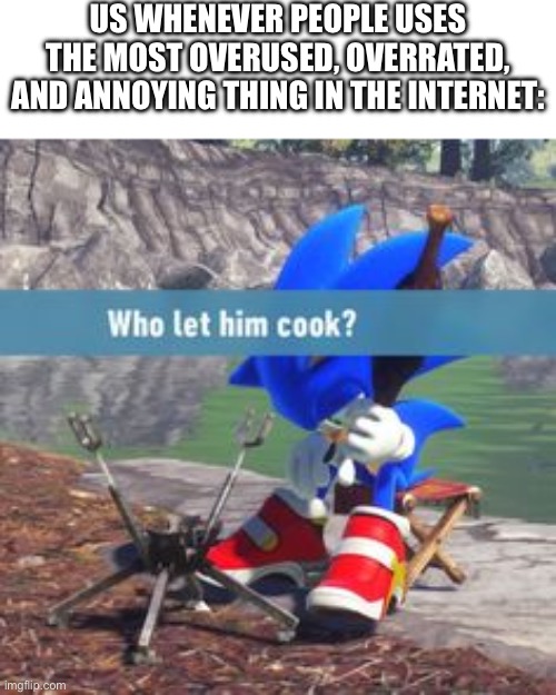 sonic who let him cook | US WHENEVER PEOPLE USES THE MOST OVERUSED, OVERRATED, AND ANNOYING THING IN THE INTERNET: | image tagged in sonic who let him cook | made w/ Imgflip meme maker