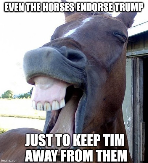 Funny Horse Face | EVEN THE HORSES ENDORSE TRUMP JUST TO KEEP TIM
 AWAY FROM THEM | image tagged in funny horse face | made w/ Imgflip meme maker