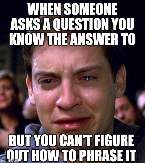 The struggle | WHEN SOMEONE ASKS A QUESTION YOU KNOW THE ANSWER TO; BUT YOU CAN'T FIGURE OUT HOW TO PHRASE IT | image tagged in the struggle | made w/ Imgflip meme maker