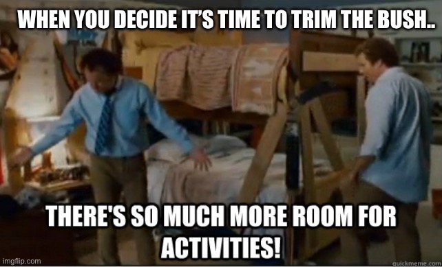 There's so much room for activities | WHEN YOU DECIDE IT’S TIME TO TRIM THE BUSH.. | image tagged in there's so much room for activities | made w/ Imgflip meme maker