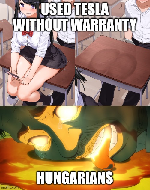 Anime girl sitting | USED TESLA WITHOUT WARRANTY; HUNGARIANS | image tagged in anime girl sitting | made w/ Imgflip meme maker