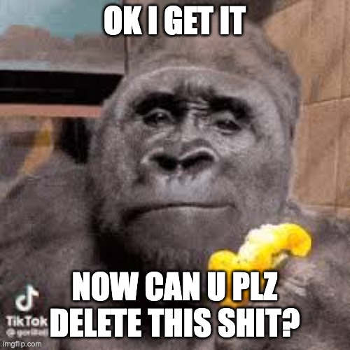 condescending monke | OK I GET IT NOW CAN U PLZ DELETE THIS SHIT? | image tagged in condescending monke | made w/ Imgflip meme maker