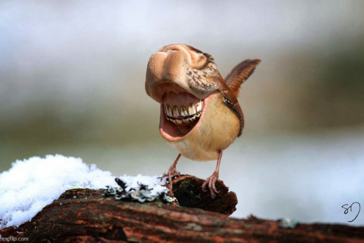 its friday post horse mouth bird | made w/ Imgflip meme maker