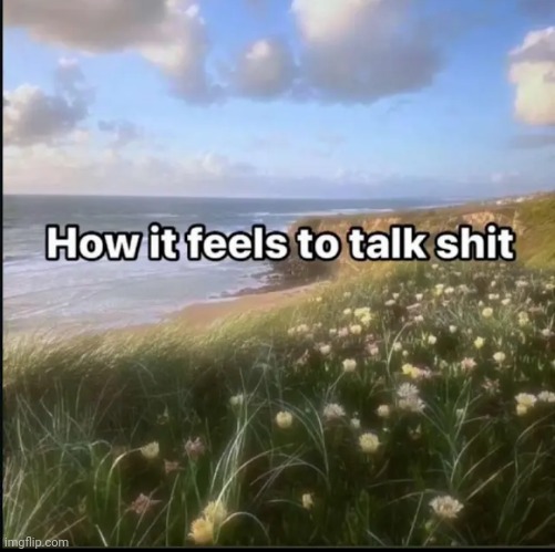 How it feels to talk shit | image tagged in how it feels to talk shit | made w/ Imgflip meme maker