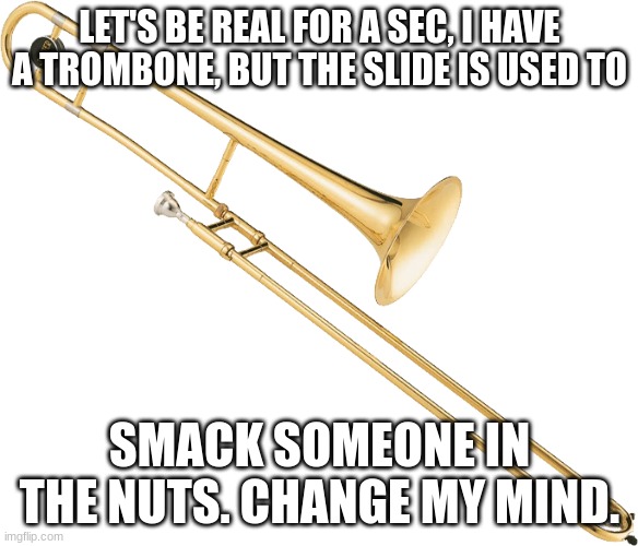 Change My Mind | LET'S BE REAL FOR A SEC, I HAVE A TROMBONE, BUT THE SLIDE IS USED TO; SMACK SOMEONE IN THE NUTS. CHANGE MY MIND. | image tagged in trombone | made w/ Imgflip meme maker