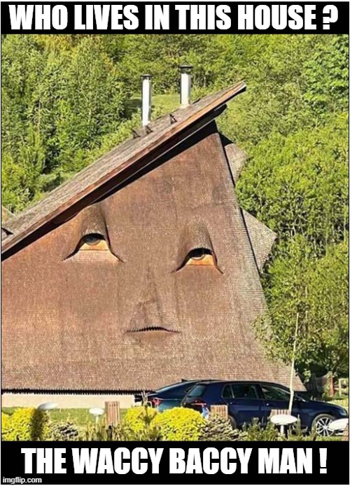 A Suspicious Property ? | WHO LIVES IN THIS HOUSE ? THE WACCY BACCY MAN ! | image tagged in suspicious,house,cannabis | made w/ Imgflip meme maker