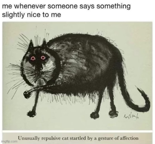 me fr | image tagged in cat,ugly | made w/ Imgflip meme maker