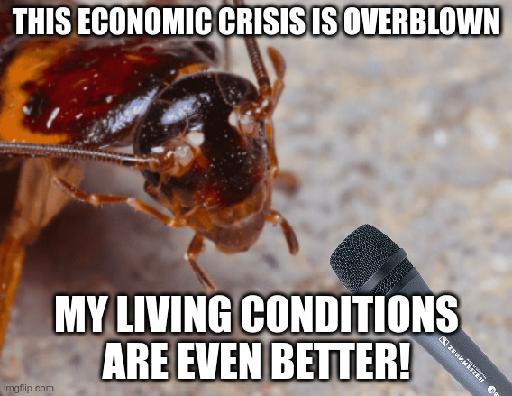 You are just too sensitive | THIS ECONOMIC CRISIS IS OVERBLOWN; MY LIVING CONDITIONS ARE EVEN BETTER! | image tagged in cockroach interview | made w/ Imgflip meme maker