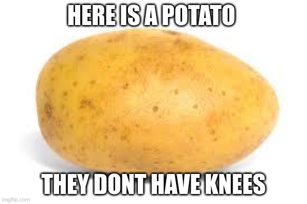 Fun Fact Of the day | HERE IS A POTATO; THEY DONT HAVE KNEES | image tagged in potato | made w/ Imgflip meme maker