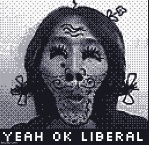 yeah ok liberal - game boy edition | image tagged in yeah ok liberal - game boy edition | made w/ Imgflip meme maker