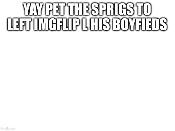 YAY PET THE SPRIGS TO LEFT IMGFLIP L HIS BOYFIEDS | made w/ Imgflip meme maker