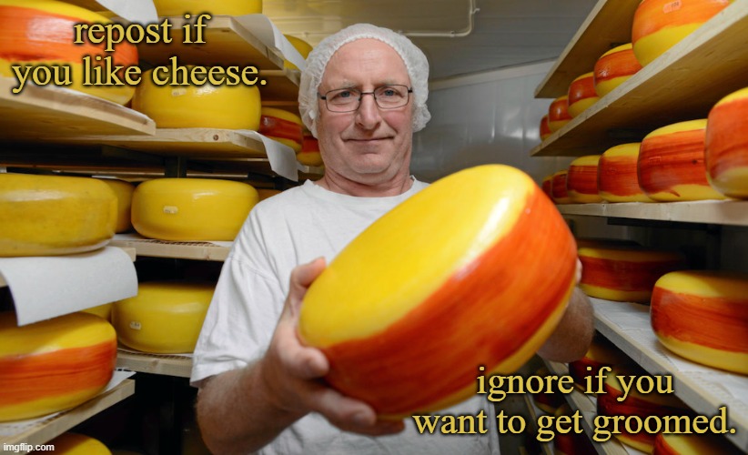 Cheese life | repost if you like cheese. ignore if you want to get groomed. | image tagged in cheese life | made w/ Imgflip meme maker