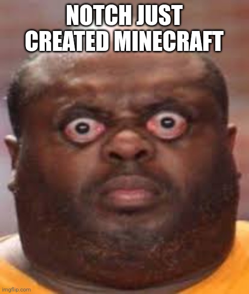 Surprised black guy | NOTCH JUST CREATED MINECRAFT | image tagged in surprised black guy | made w/ Imgflip meme maker