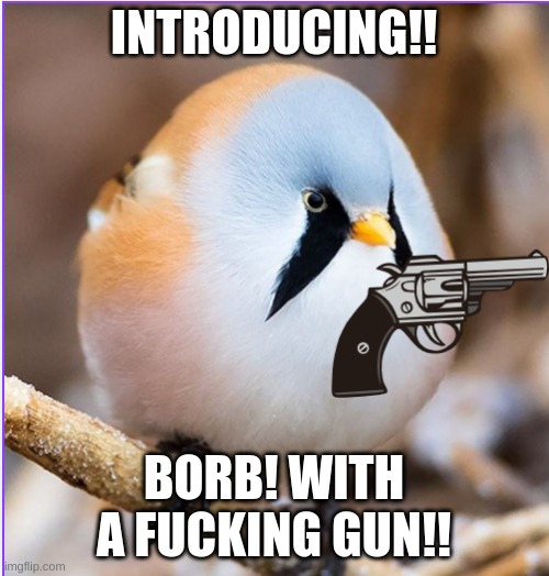 INTRODUCING!! BORB! WITH A FUCKING GUN!! | made w/ Imgflip meme maker