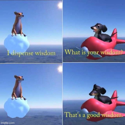 Wisdom Dog | image tagged in wisdom dog | made w/ Imgflip meme maker