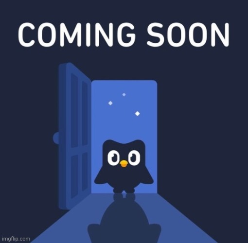 Duolingo COMING SOON | image tagged in duolingo coming soon | made w/ Imgflip meme maker