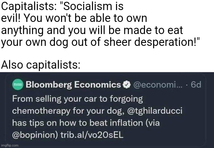 Bloomberg suggests you should live your life like you live under socialism | Capitalists: "Socialism is evil! You won't be able to own anything and you will be made to eat your own dog out of sheer desperation!"; Also capitalists: | image tagged in capitalism,socialism,economics,hypocrisy,poverty,class struggle | made w/ Imgflip meme maker