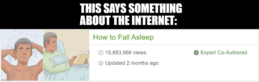 Hmmm... | THIS SAYS SOMETHING ABOUT THE INTERNET: | image tagged in wikihow,how to fall asleep,sleep,internet,wikihow be like | made w/ Imgflip meme maker