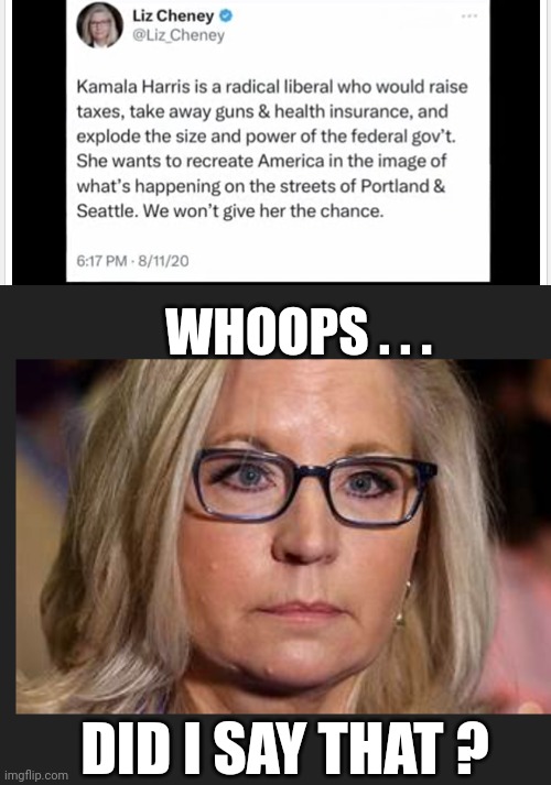 Changed her tune | WHOOPS . . . DID I SAY THAT ? | image tagged in sold out,leftists,liberals | made w/ Imgflip meme maker