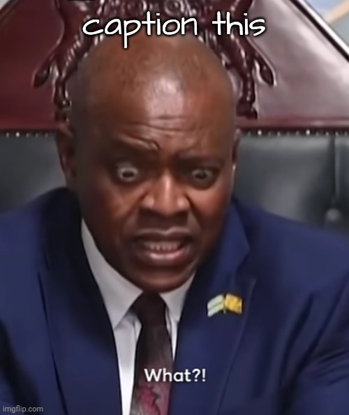 n | caption this | image tagged in botswana president what | made w/ Imgflip meme maker