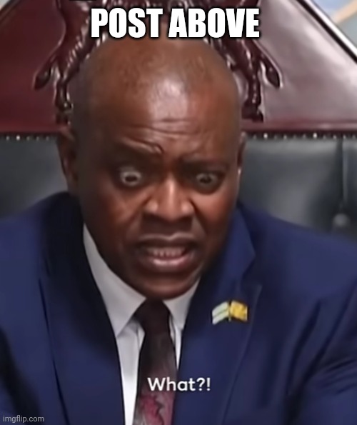 @post above | POST ABOVE | image tagged in botswana president what | made w/ Imgflip meme maker