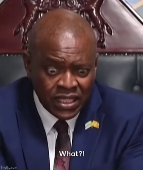 Botswana president what | image tagged in botswana president what | made w/ Imgflip meme maker