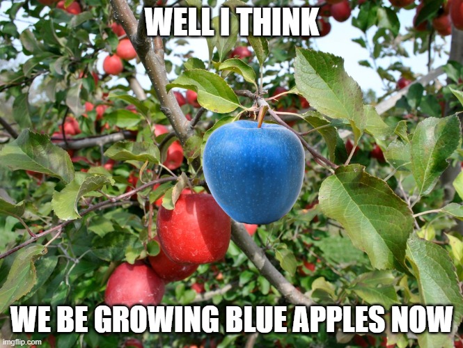 well i think we growing blue apples now | WELL I THINK; WE BE GROWING BLUE APPLES NOW | image tagged in well i think we growing blue apples now | made w/ Imgflip meme maker