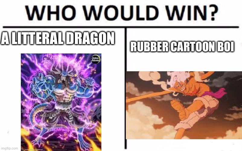 Who Would Win? Meme | A LITTERAL DRAGON; RUBBER CARTOON BOI | image tagged in memes,who would win | made w/ Imgflip meme maker