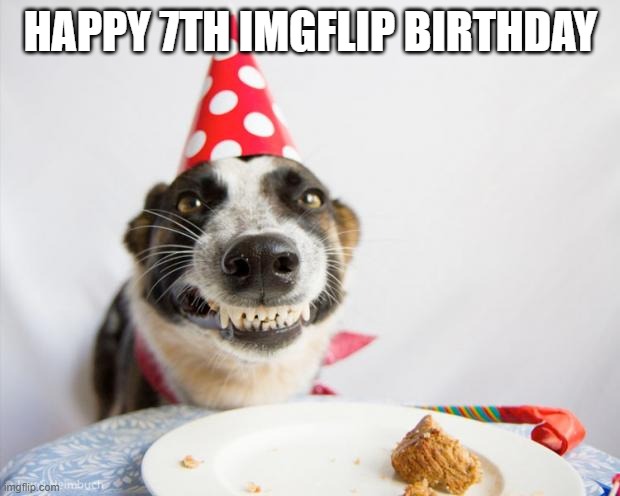 birthday dog | HAPPY 7TH IMGFLIP BIRTHDAY | image tagged in birthday dog | made w/ Imgflip meme maker