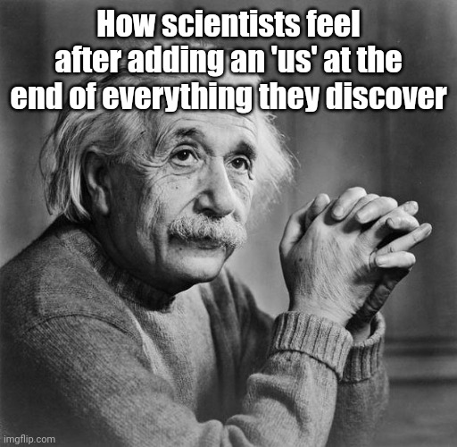 ㅤ | How scientists feel after adding an 'us' at the end of everything they discover | image tagged in einstein | made w/ Imgflip meme maker