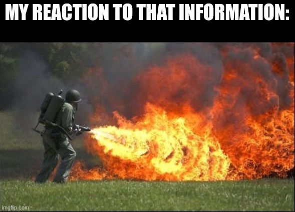 Kill it with fire | MY REACTION TO THAT INFORMATION: | image tagged in kill it with fire | made w/ Imgflip meme maker