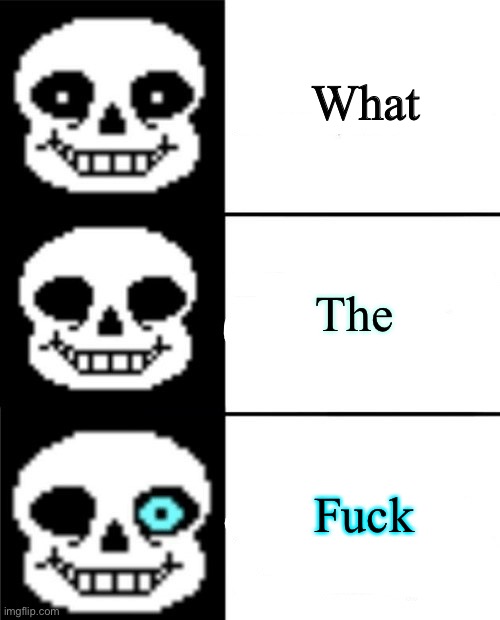 sans | What The Fuck | image tagged in sans | made w/ Imgflip meme maker