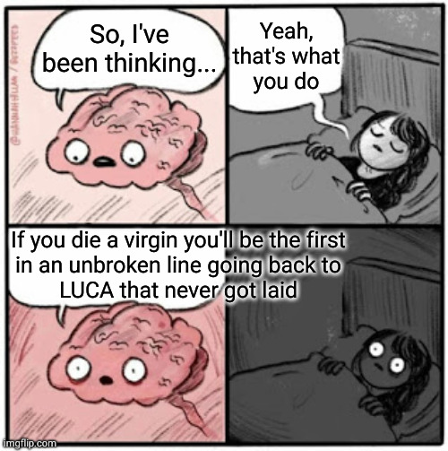 more precisely, never reproduced | Yeah,
that's what
you do; So, I've
been thinking... If you die a virgin you'll be the first
in an unbroken line going back to
LUCA that never got laid | image tagged in brain before sleep | made w/ Imgflip meme maker