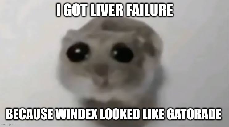 yippee | I GOT LIVER FAILURE; BECAUSE WINDEX LOOKED LIKE GATORADE | image tagged in sad hamster | made w/ Imgflip meme maker