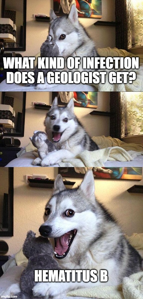 Bad Pun Dog | WHAT KIND OF INFECTION DOES A GEOLOGIST GET? HEMATITUS B | image tagged in memes,bad pun dog | made w/ Imgflip meme maker